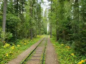 Beaver Glen Campground