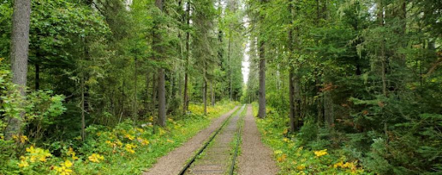 Beaver Glen Campground
