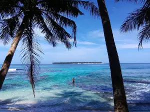 Telo Island