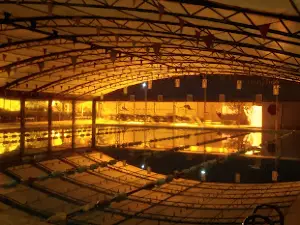Piscine public