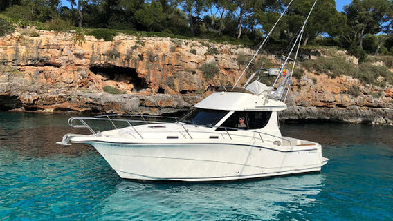 Sport Charter Fish