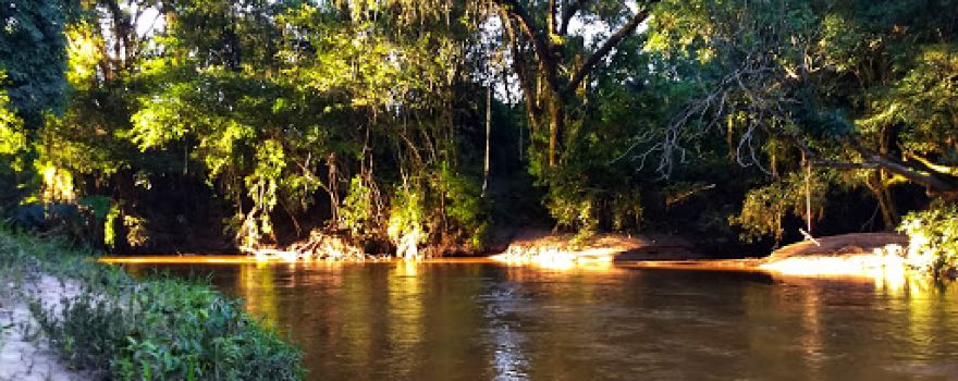 Camping Bambuzinho