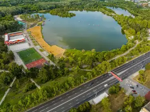 Joma Arena