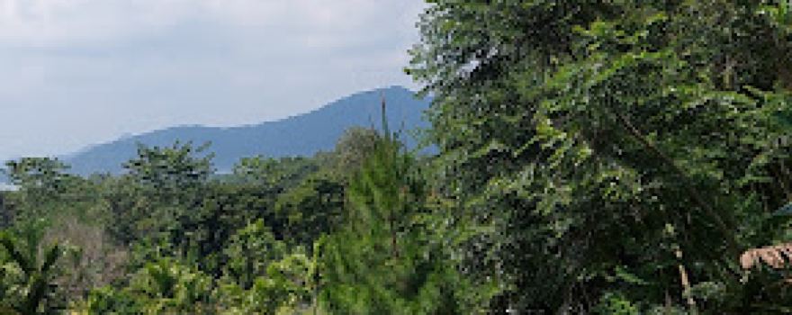 Taman Kupu Kupu
