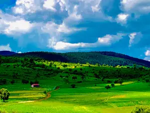 Çerkeş