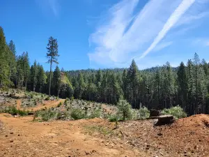 Willow Creek Campground & RV Park