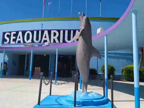 Hotels near Miami Seaquarium