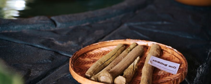 Ayurveda Isiwara Paura Sigiriya - Healthy side of your life