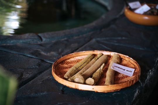 Ayurveda Isiwara Paura Sigiriya - Healthy side of your life