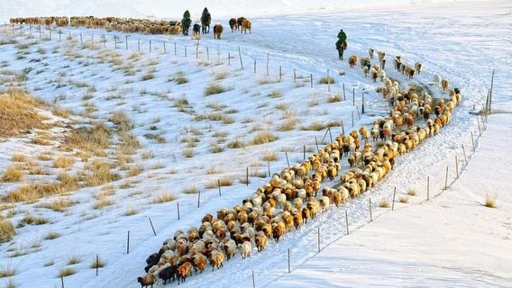 Seventy Regiment Farm