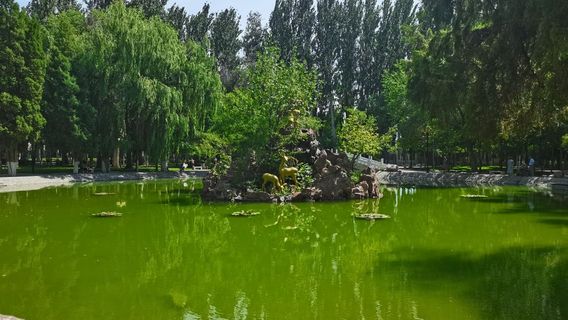 Yining