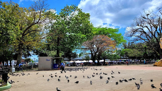 Daniel Hernández Park