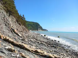 Beach Praskoveevka