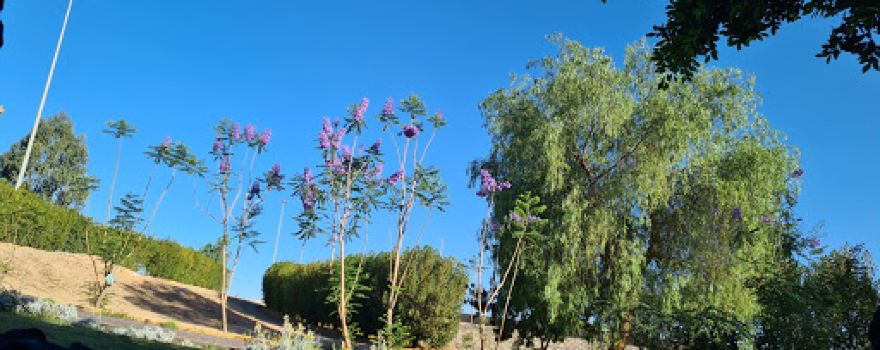 حديقة السر Sir garden
