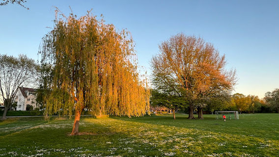 Neckarwiese Ladenburg