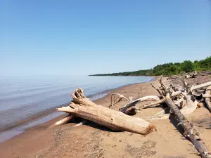 Schafer Beach
