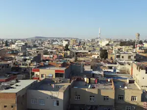 Tarim Isletmesi Mudurlugu