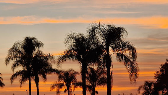 Dom Pedro Millennium Golf Course