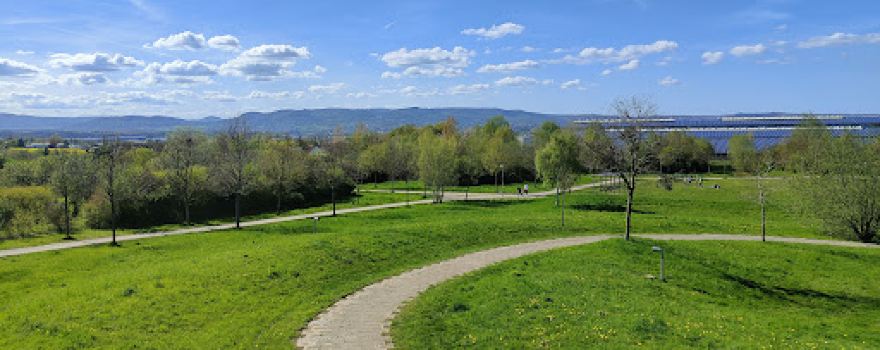 Hundewiese Lohfelden