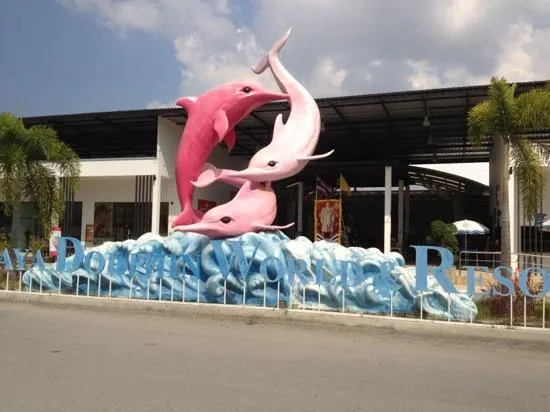 3_芭提雅海豚世界