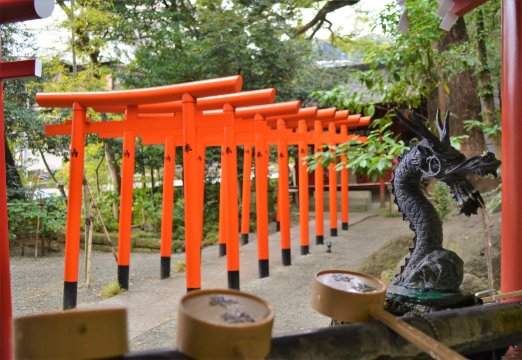 日本伊豆大室山+伊豆仙人掌公園+來宮神社+熱海海上花火大會