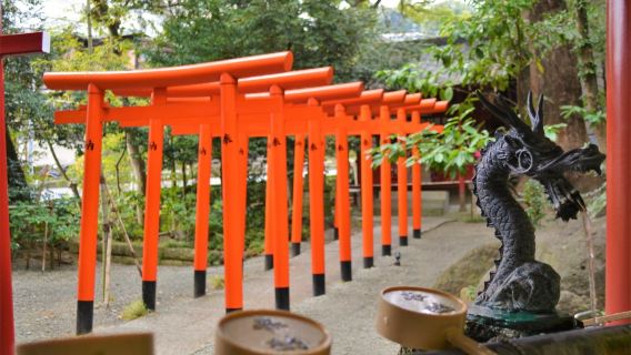 日本伊豆大室山+伊豆仙人掌公園+來宮神社+熱海海上花火大會