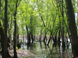 Parc national d'Oka