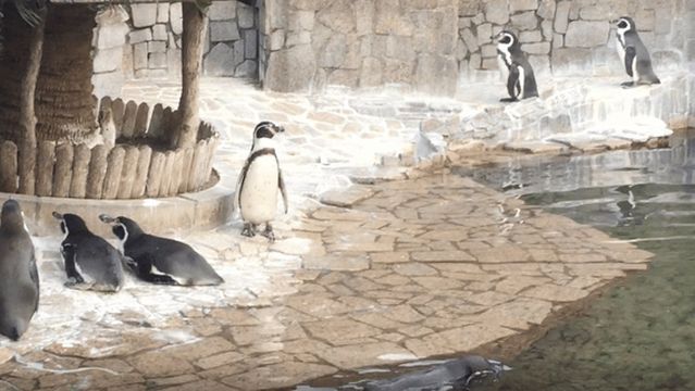 Edogawa City Nature Zoo