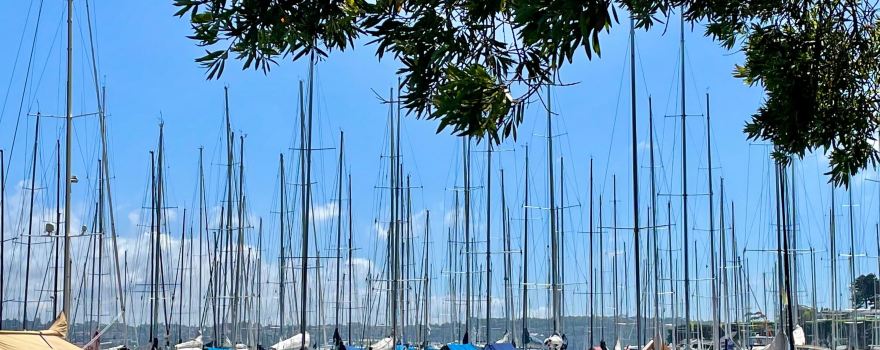 Darling Point