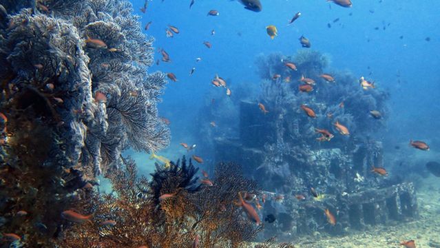 Abyss Dive Center Bali