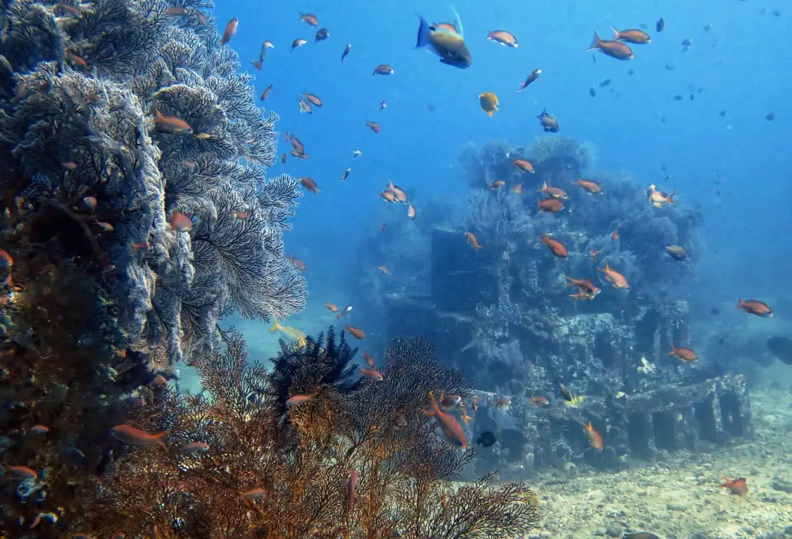 Hotels near Abyss Dive Center Bali