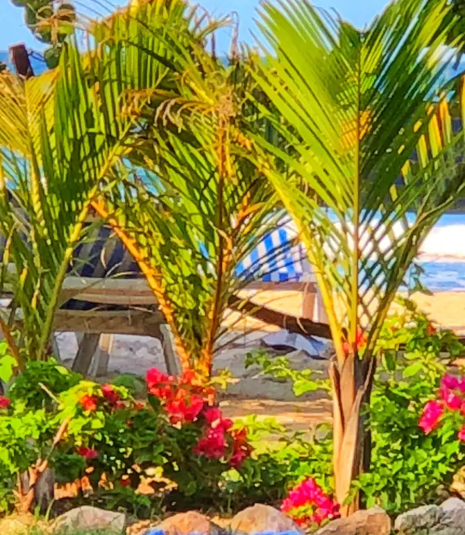 Labadee