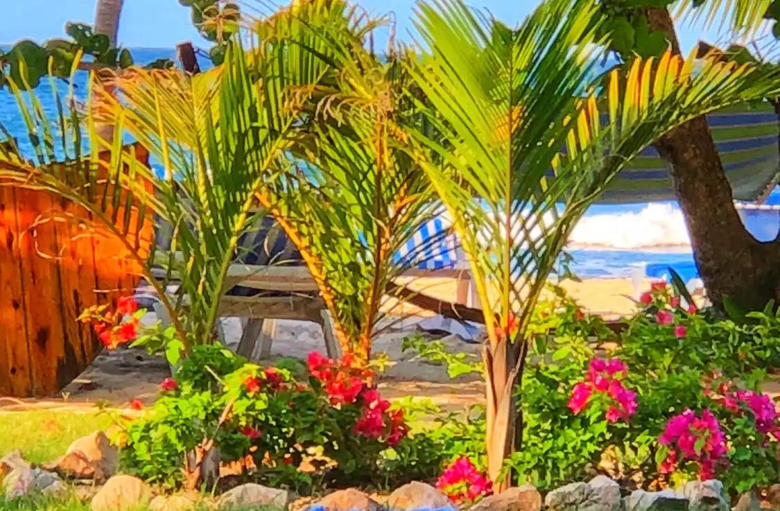 Hotels near Labadee