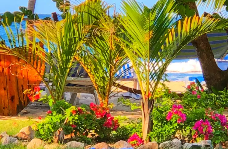 Hotels near Labadee Traditions Tour