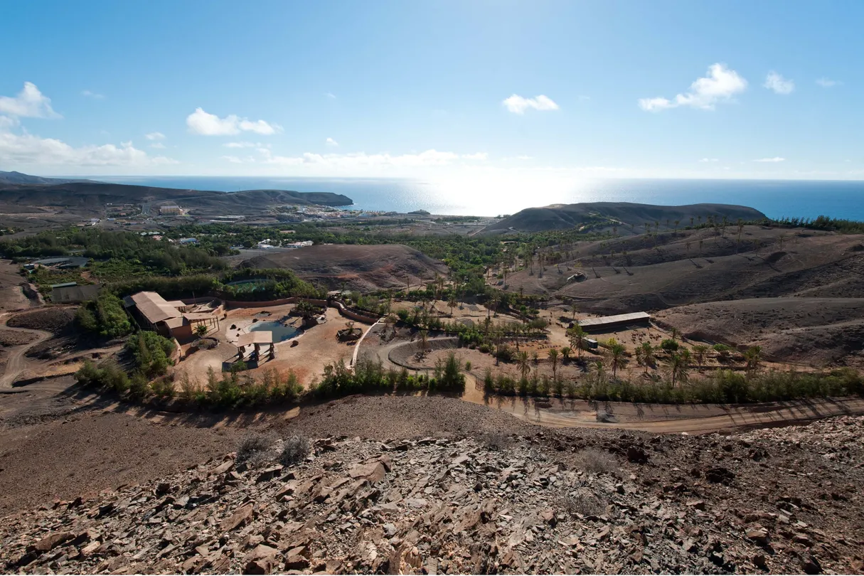 3_Oasis Wildlife Fuerteventura