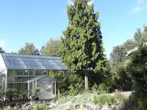 Botanical Garden