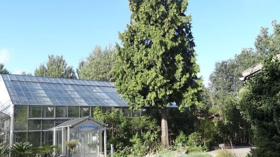 Botanical Garden