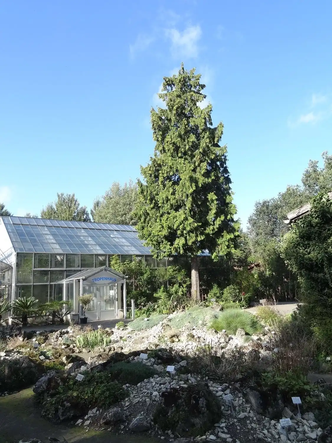 Hotels near Botanical Garden