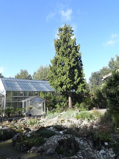 Botanical Garden
