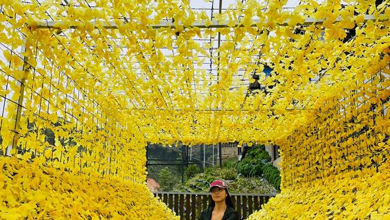 Cameron Highlands Flora Park