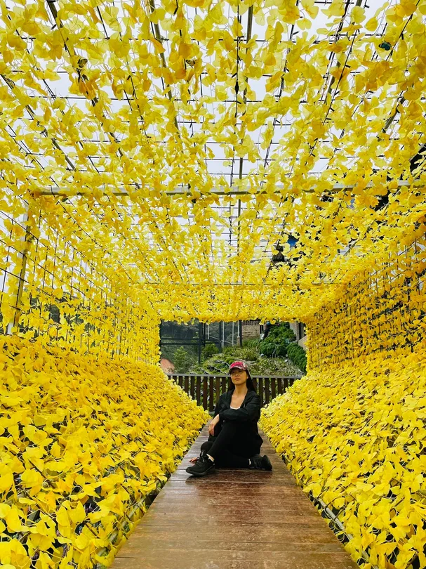 1_Cameron Highlands Flora Park