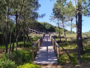 Reserva Natural das Dunas de São Jacinto