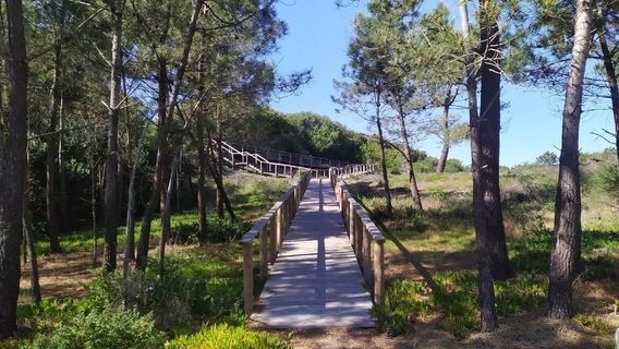 Reserva Natural das Dunas de São Jacinto