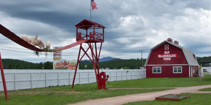 Old MacDonald's Farm