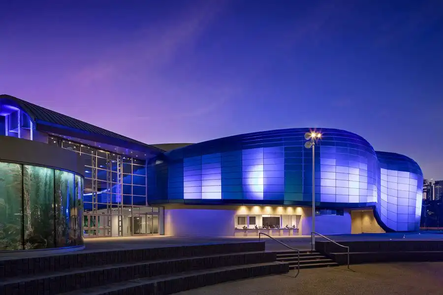 5_Aquarium of the Pacific