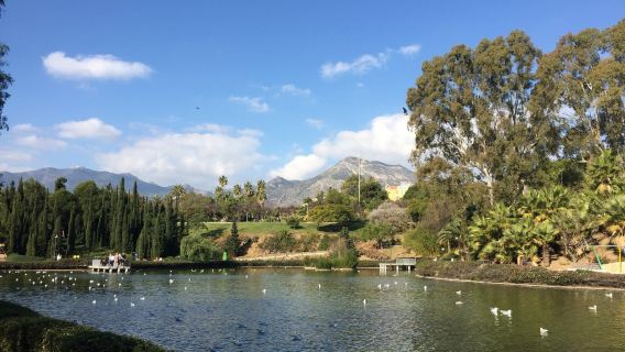Parque de la Paloma
