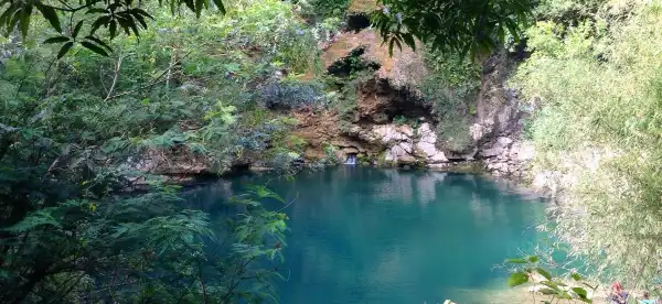 Homestays in Sud, Haiti