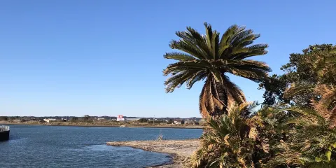 夷隅川流域