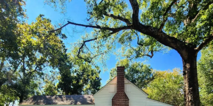 Sterne Hoya House Museum