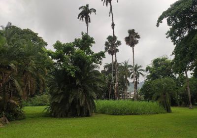 Sud-Ouest